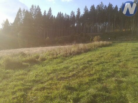 foto02_11456118_2fhds.jpg