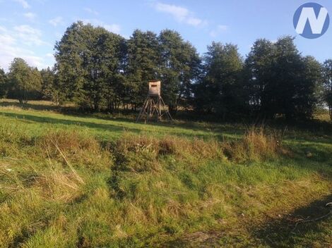 foto02_11456118_b65xk.jpg