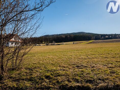 foto02_11470052_xjl5c.jpg