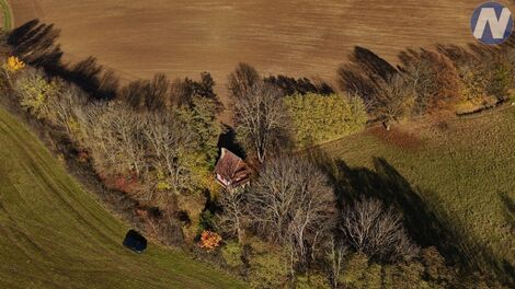foto02_11481134_8t3qo.jpg