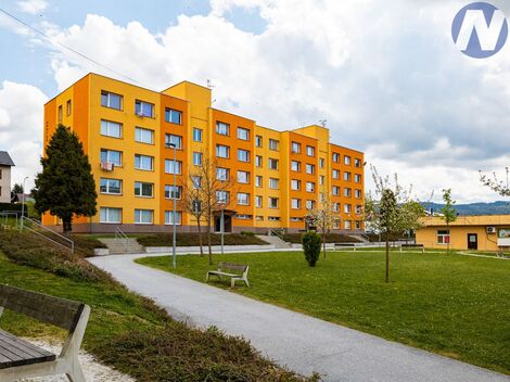 foto02_11499206_hiiaw.jpg