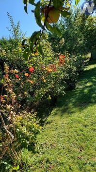 foto02_11500666_acnqo.jpg