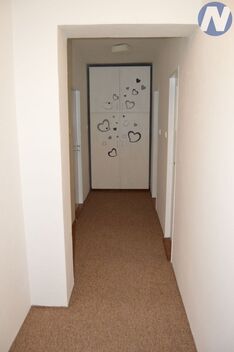 foto02_11515253_4jfhk.jpg