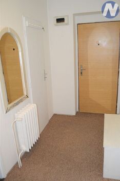 foto02_11515253_ggy7w.jpg