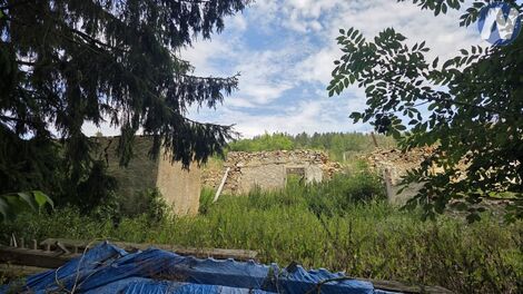 foto02_11530792_6vxgo.jpg