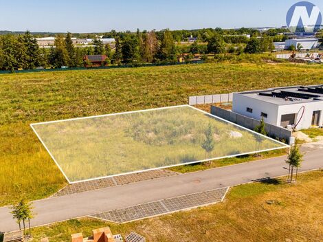 foto02_11539459_yssp0.jpg