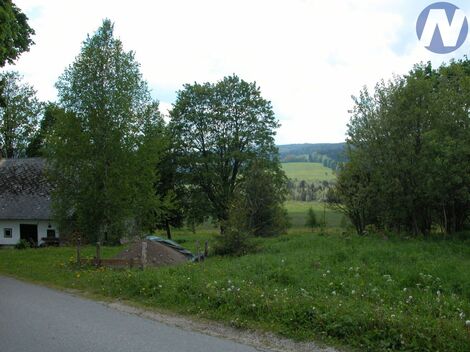 foto02_11542103_zkvt0.jpg