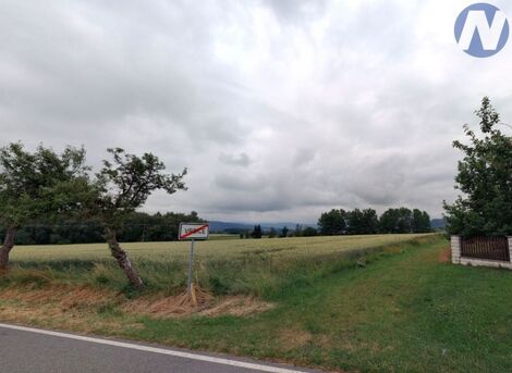 foto02_11552374_9mqvc.jpg