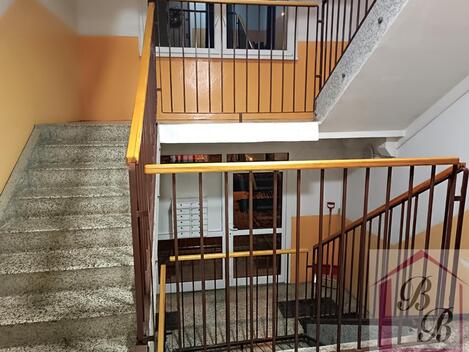 foto02_11470690_1ivetc.jpg