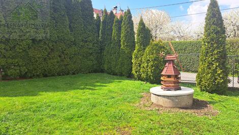 foto02_11482247_10lyg8.jpg