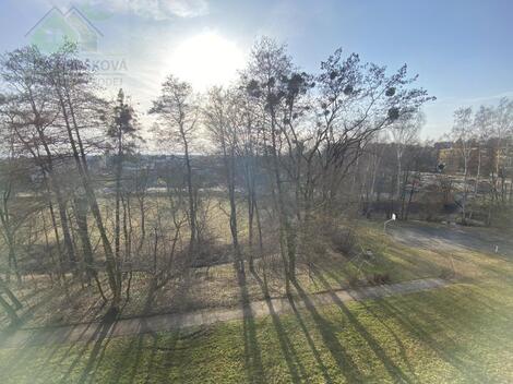 foto02_11563012_1ii6ck.jpg