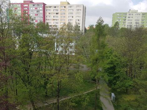 foto02_11571564_156mds.jpg