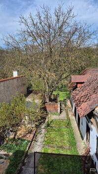 foto02_11489487_1l13vs.jpg