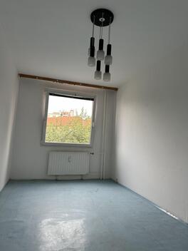 foto02_11542107_reiqk.jpg