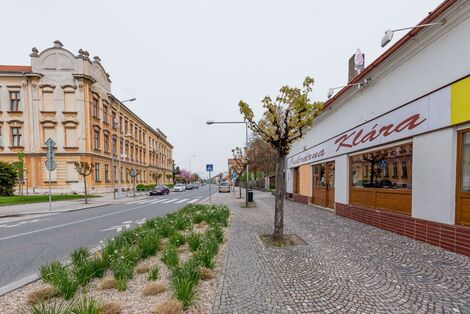 foto02_11367931_qhjgw.jpg