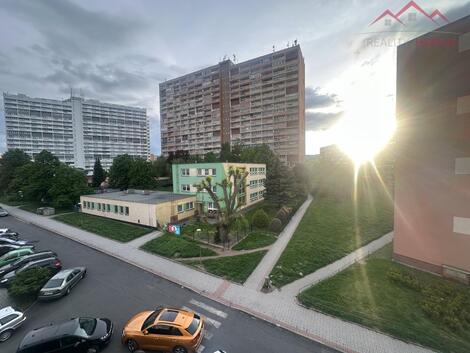 foto02_11550159_edbos.jpg