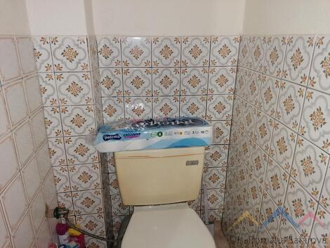 foto02_11482743_3m6t0.jpg