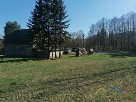 foto02_11482743_tf6eg.jpg