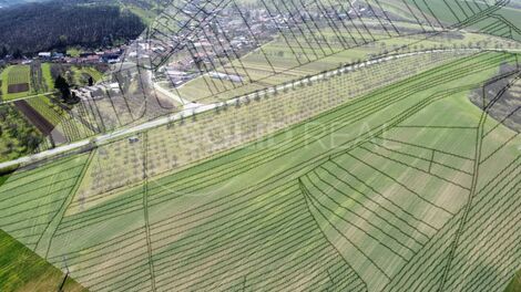 foto02_11516515_1i57j0.jpg