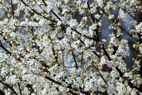 foto02_11516515_xevs4.jpg