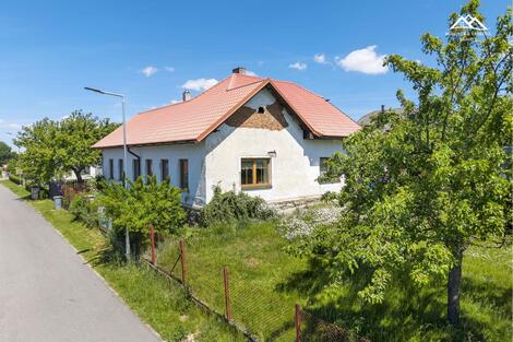 foto02_11471354_13zuvk.jpg