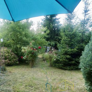 foto02_11546133_1gkrw4.jpg