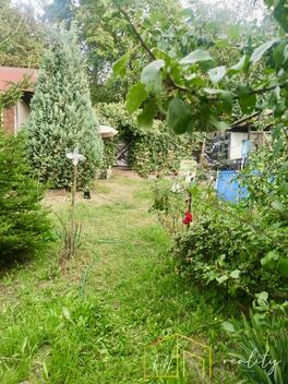 foto02_11546133_la234.jpg