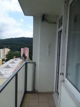 foto02_11487573_ayjs4.jpg