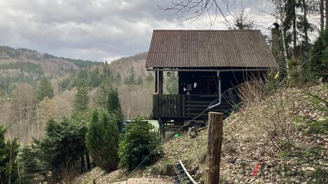 foto02_11462755_lqeig.jpg