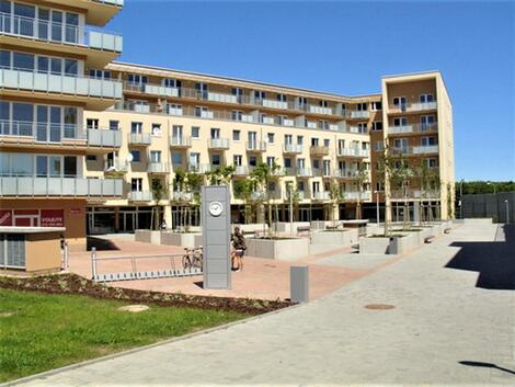 foto02_11456123_yqmas.jpg