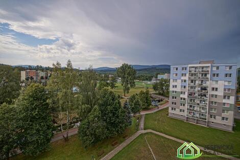 foto02_11534768_13zmjk.jpg