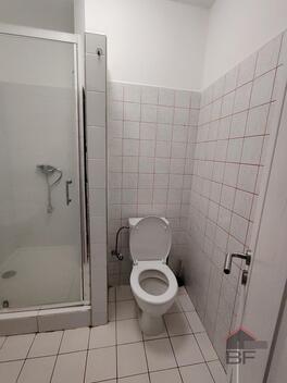 foto02_11481146_xyvdo.jpg