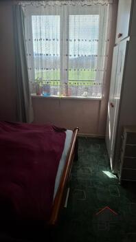 foto02_11481147_g8x3k.jpg