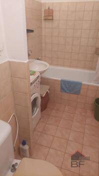 foto02_11493564_5uzzk.jpg