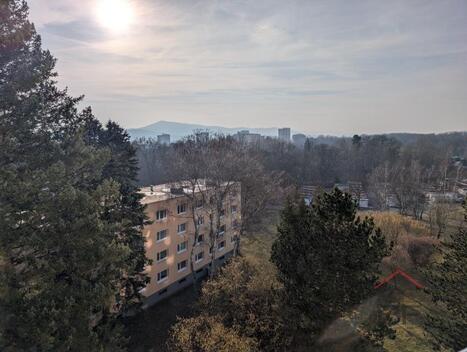 foto02_11519447_11s3ys.jpg