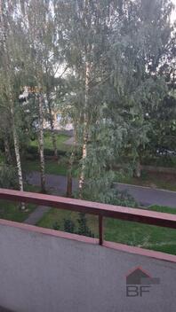 foto02_11543423_7ruow.jpg