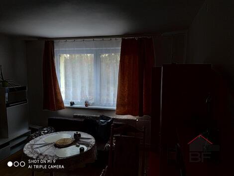 foto02_11544916_w3bz4.jpg