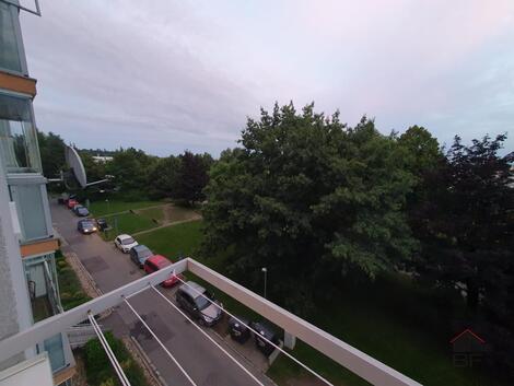foto02_11550623_t4pe8.jpg