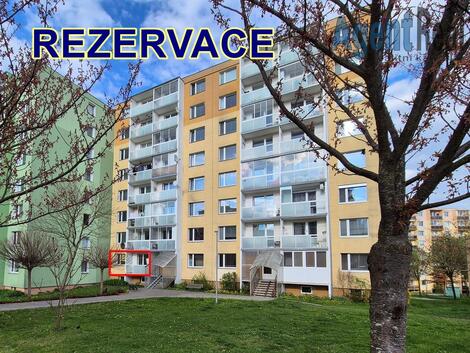 foto02_11483459_1fojec.jpg