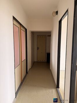 foto02_11463816_nxjz0.jpg