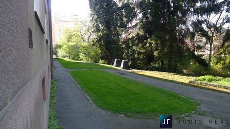 foto02_11489506_ysdsw.jpg