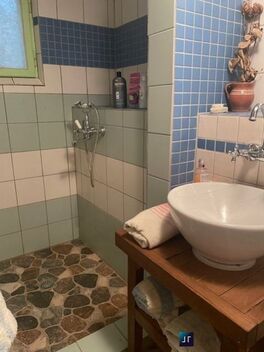 foto02_11496494_1ibios.jpg