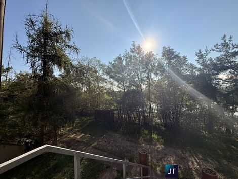 foto02_11508752_umkz8.jpg