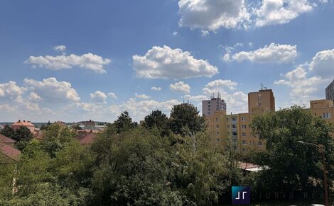 foto02_11518286_op1sc.jpg
