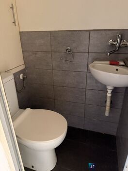 foto02_11545518_qeens.jpg