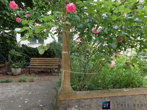 foto02_11555938_9rjk.jpg