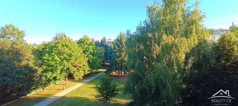 foto02_11382554_17cqyk.jpg