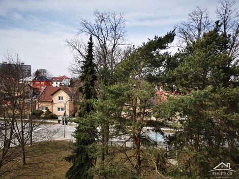 foto02_11478576_y93ig.jpg