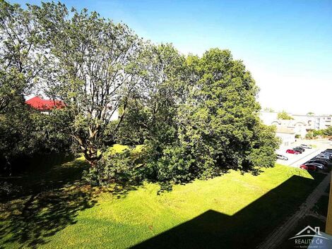 foto02_11541599_4pwo.jpg