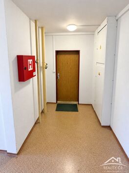 foto02_11561866_1dzxx0.jpg